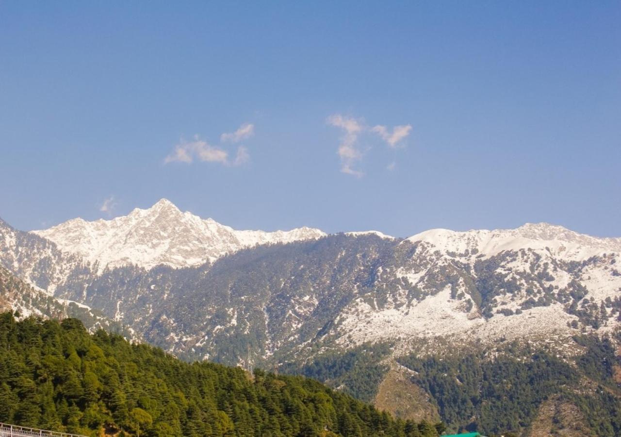 M Hotel And Restaurant McLeod Ganj Zewnętrze zdjęcie